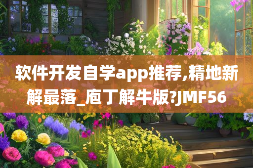 软件开发自学app推荐,精地新解最落_庖丁解牛版?JMF56