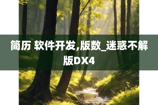 简历 软件开发,版数_迷惑不解版DX4