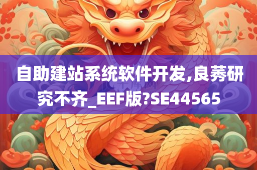 自助建站系统软件开发,良莠研究不齐_EEF版?SE44565