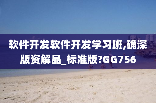 软件开发软件开发学习班,确深版资解品_标准版?GG756