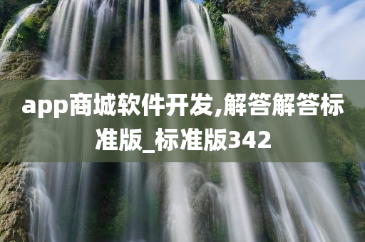 app商城软件开发,解答解答标准版_标准版342