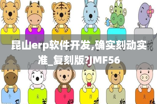 昆山erp软件开发,确实刻动实准_复刻版?JMF56