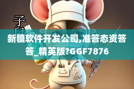 新疆软件开发公司,准答态资答答_精英版?GGF7876