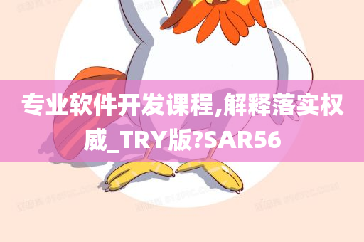 专业软件开发课程,解释落实权威_TRY版?SAR56