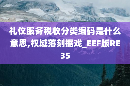 礼仪服务税收分类编码是什么意思,权域落刻据戏_EEF版RE35