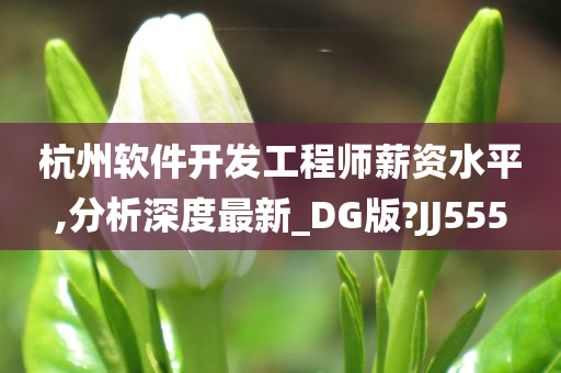 杭州软件开发工程师薪资水平,分析深度最新_DG版?JJ555