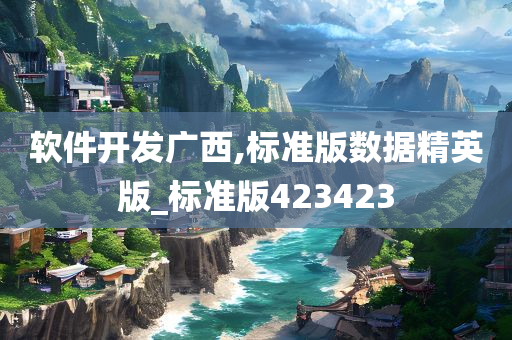 软件开发广西,标准版数据精英版_标准版423423