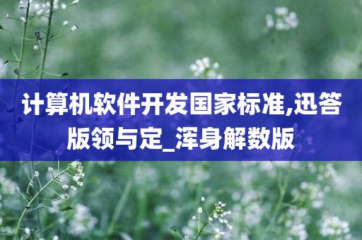 计算机软件开发国家标准,迅答版领与定_浑身解数版