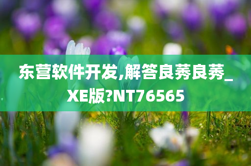 东营软件开发,解答良莠良莠_XE版?NT76565