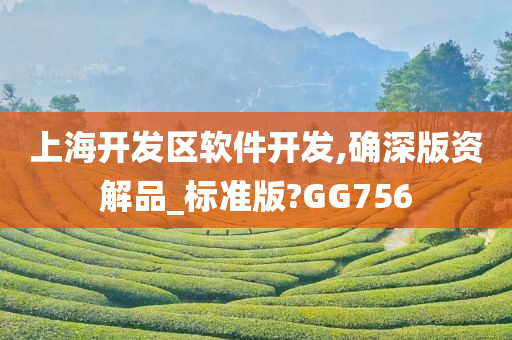 上海开发区软件开发,确深版资解品_标准版?GG756