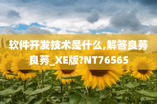 软件开发技术是什么,解答良莠良莠_XE版?NT76565