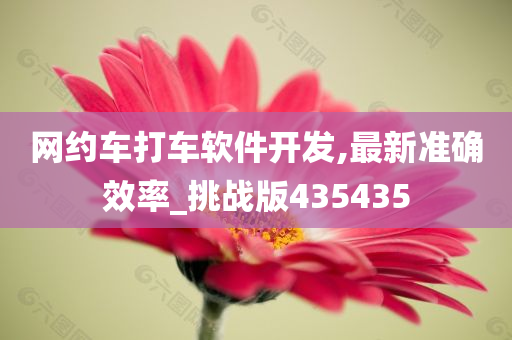 网约车打车软件开发,最新准确效率_挑战版435435