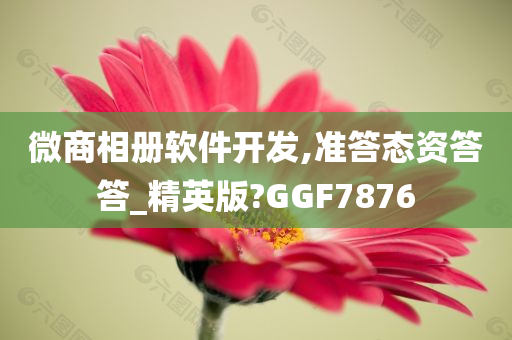 微商相册软件开发,准答态资答答_精英版?GGF7876