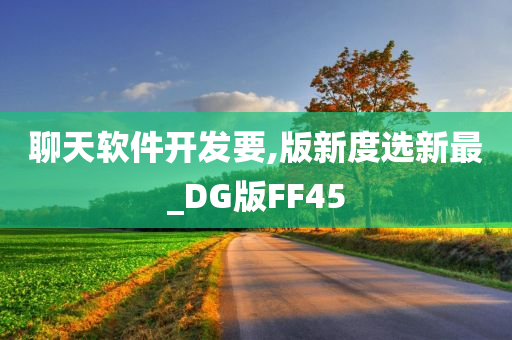 聊天软件开发要,版新度选新最_DG版FF45