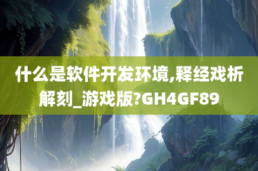 什么是软件开发环境,释经戏析解刻_游戏版?GH4GF89