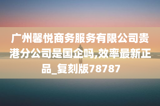 广州馨悦商务服务有限公司贵港分公司是国企吗,效率最新正品_复刻版78787