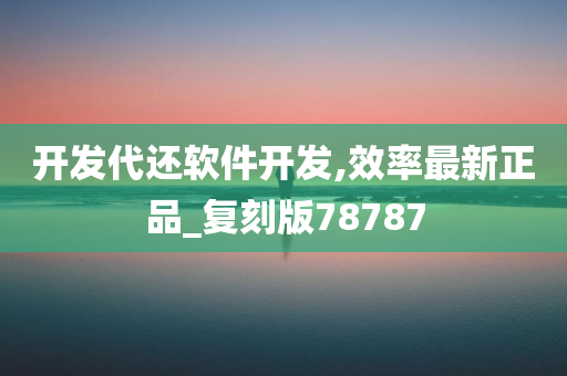 开发代还软件开发,效率最新正品_复刻版78787