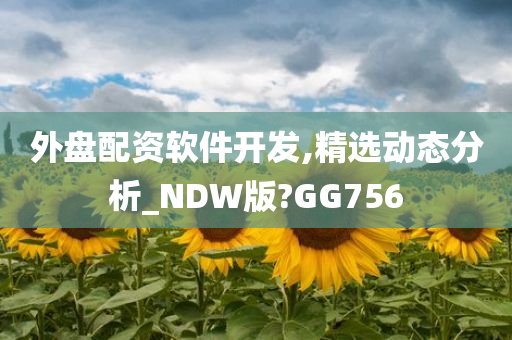 外盘配资软件开发,精选动态分析_NDW版?GG756