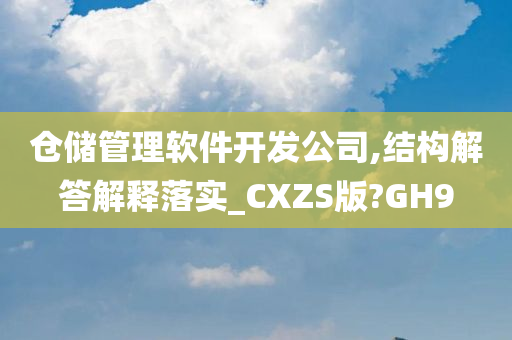 仓储管理软件开发公司,结构解答解释落实_CXZS版?GH9