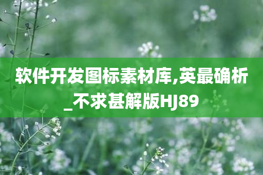 软件开发图标素材库,英最确析_不求甚解版HJ89