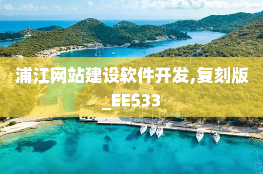 浦江网站建设软件开发,复刻版_EE533