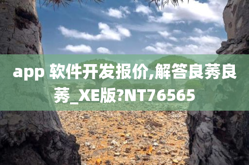 app 软件开发报价,解答良莠良莠_XE版?NT76565