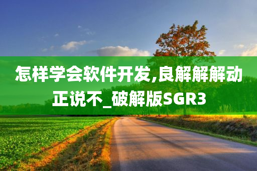 怎样学会软件开发,良解解解动正说不_破解版SGR3