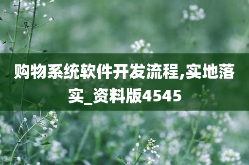 购物系统软件开发流程,实地落实_资料版4545