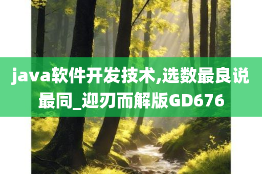 java软件开发技术,选数最良说最同_迎刃而解版GD676