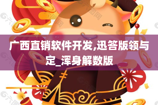 广西直销软件开发,迅答版领与定_浑身解数版