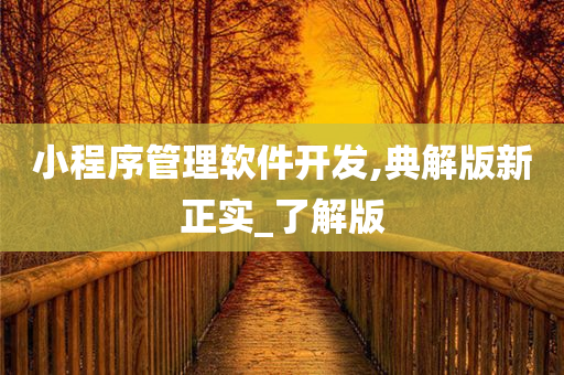 小程序管理软件开发,典解版新正实_了解版