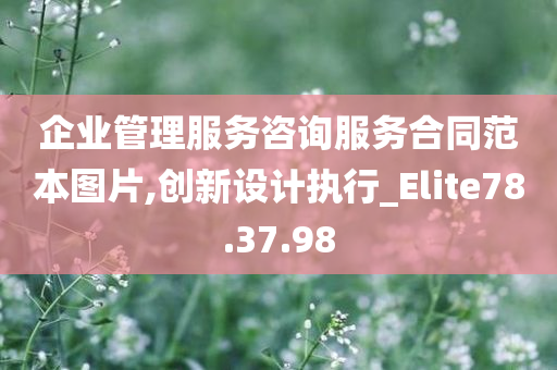 企业管理服务咨询服务合同范本图片,创新设计执行_Elite78.37.98