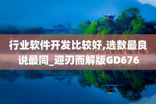 行业软件开发比较好,选数最良说最同_迎刃而解版GD676