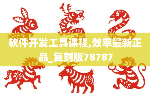 软件开发工具课程,效率最新正品_复刻版78787