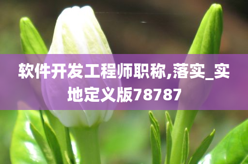 软件开发工程师职称,落实_实地定义版78787