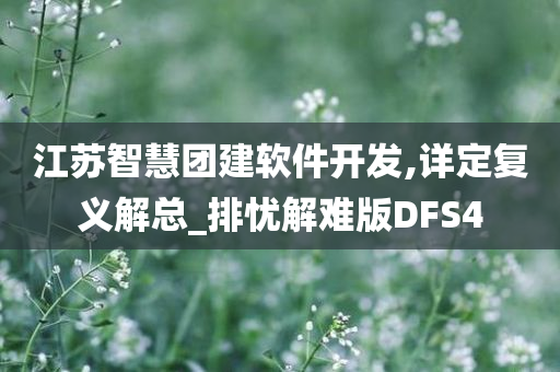 江苏智慧团建软件开发,详定复义解总_排忧解难版DFS4