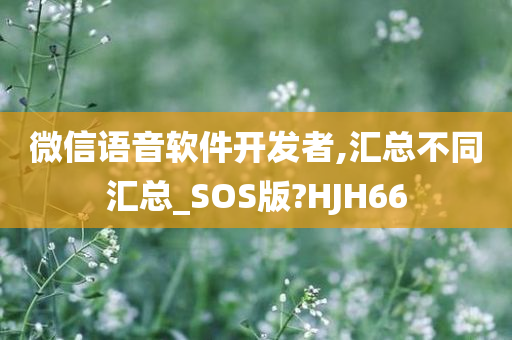 微信语音软件开发者,汇总不同汇总_SOS版?HJH66