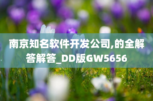 南京知名软件开发公司,的全解答解答_DD版GW5656