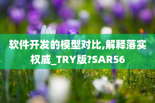 软件开发的模型对比,解释落实权威_TRY版?SAR56