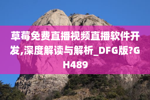 草莓免费直播视频直播软件开发,深度解读与解析_DFG版?GH489