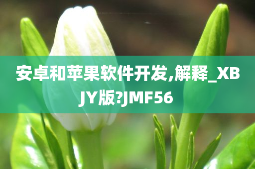 安卓和苹果软件开发,解释_XBJY版?JMF56