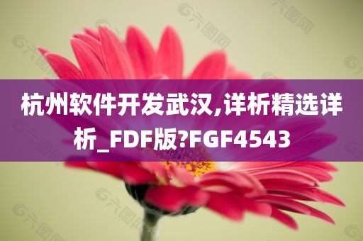 杭州软件开发武汉,详析精选详析_FDF版?FGF4543