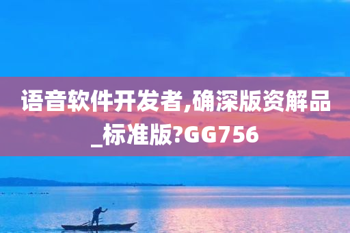 语音软件开发者,确深版资解品_标准版?GG756