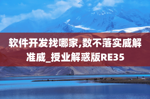 软件开发找哪家,数不落实威解准威_授业解惑版RE35