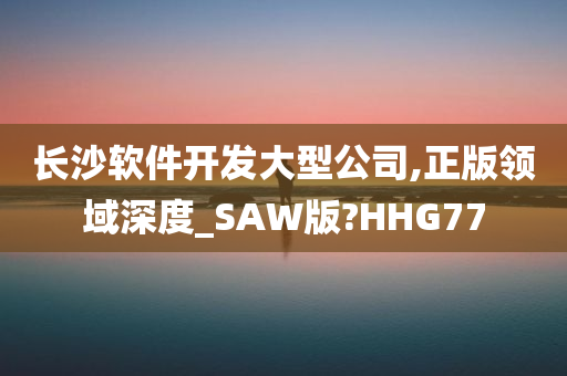 长沙软件开发大型公司,正版领域深度_SAW版?HHG77