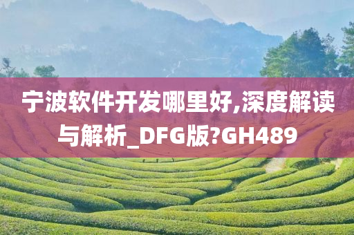 宁波软件开发哪里好,深度解读与解析_DFG版?GH489