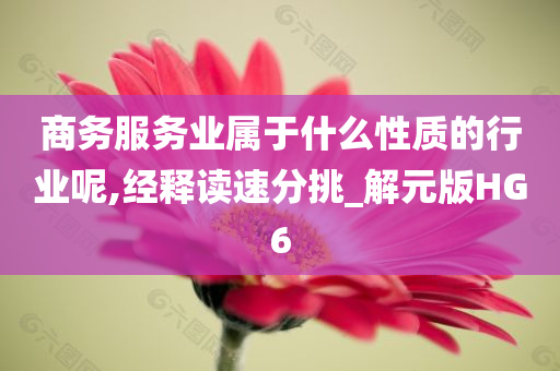 商务服务业属于什么性质的行业呢,经释读速分挑_解元版HG6