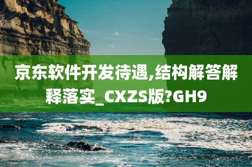 京东软件开发待遇,结构解答解释落实_CXZS版?GH9