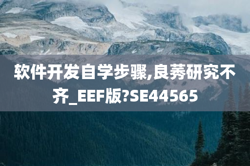 软件开发自学步骤,良莠研究不齐_EEF版?SE44565