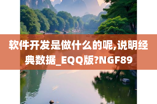 软件开发是做什么的呢,说明经典数据_EQQ版?NGF89